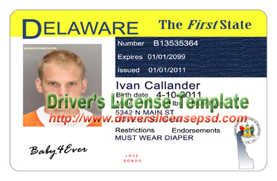 free driver license template photoshop